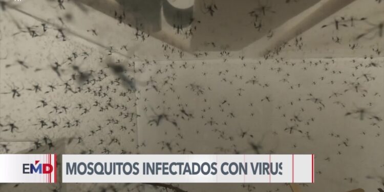 Detectan virus del Nilo en Las Vegas
