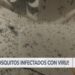 Detectan virus del Nilo en Las Vegas