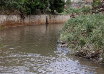 ¿Es posible sanear el Guaire, el río contaminado que atraviesa Caracas?