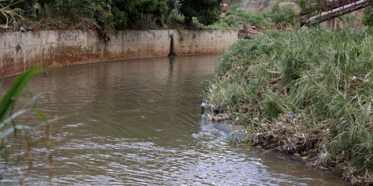 ¿Es posible sanear el Guaire, el río contaminado que atraviesa Caracas?