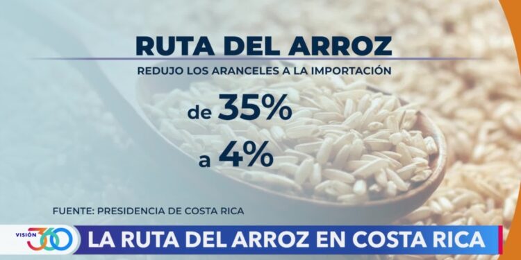 “La Ruta del Arroz”, muchas expectativas… pocos resultados, según expertos