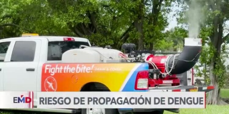 Miami refuerza medidas para prevenir contagio de dengue