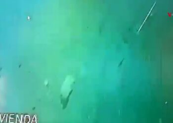 la violencia se ensaña con los departamentos del Cauca y Valle del Cauca