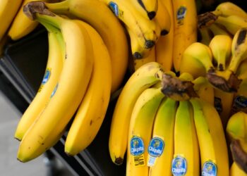 Florida: Jurado determina que Chiquita Brands es responsable de asesinatos en guerra civil de Colombia