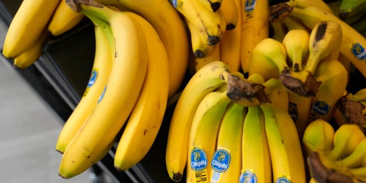 Florida: Jurado determina que Chiquita Brands es responsable de asesinatos en guerra civil de Colombia