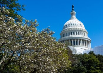 Rumbo a las elecciones presidenciales en EEUU 2024