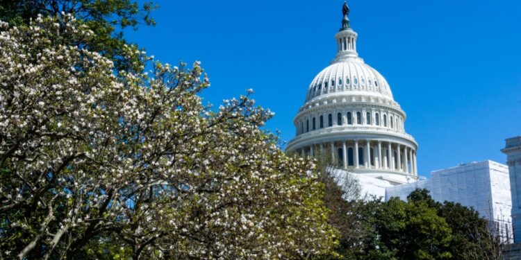 Rumbo a las elecciones presidenciales en EEUU 2024