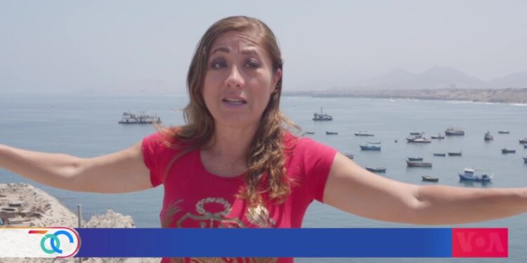 Denuncian impacto ambiental por construcción de puerto de Chancay