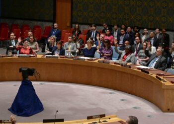 Consejo de Seguridad de la ONU respalda plan EEUU de alto el fuego entre Israel y Hamás