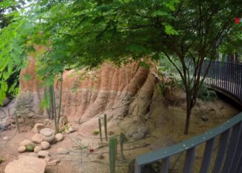 Tropicario del Jardín Botánico de Bogotá, un pulmón verde para la conservación