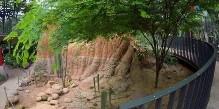 Tropicario del Jardín Botánico de Bogotá, un pulmón verde para la conservación