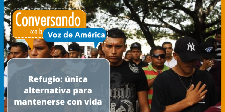 Solicitante hondureño de refugio, una historia que se repite.