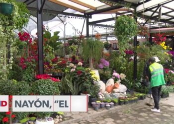 Nayón, “el jardín de Quito”, destaca como atractivo turístico por sus plantas ornamentales