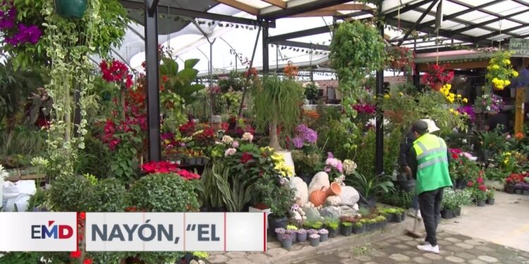 Nayón, “el jardín de Quito”, destaca como atractivo turístico por sus plantas ornamentales