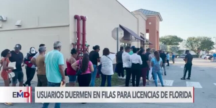 Molestias por solicitudes de licencias de conducir en Miami