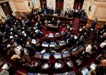 Argentina: Tras seis meses de trabas, Milei logra la aprobación de sus primeras leyes en la Cámara de Diputados