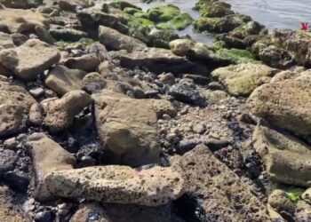 En Colombia utilizan cabello para hacerle frente a los derrames de petróleo