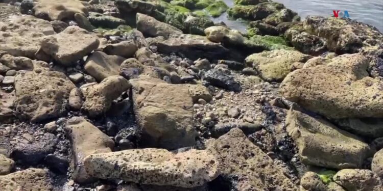En Colombia utilizan cabello para hacerle frente a los derrames de petróleo