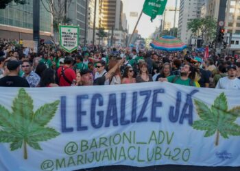 Brasil: Supremo Tribunal aprueba despenalizar posesión de marihuana para uso personal
