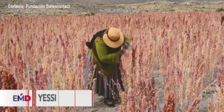 Yessica Yana, una aimara boliviana que inspira desde el campo y la tecnología