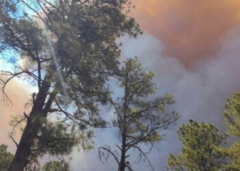 residentes huyen de poblado de Nuevo México por fuertes incendios forestales