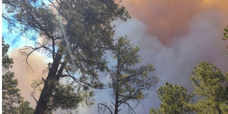 residentes huyen de poblado de Nuevo México por fuertes incendios forestales