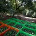 México podrá reiniciar la exportación EEUU de aguacate y mango luego de retomarse el proceso de certificación