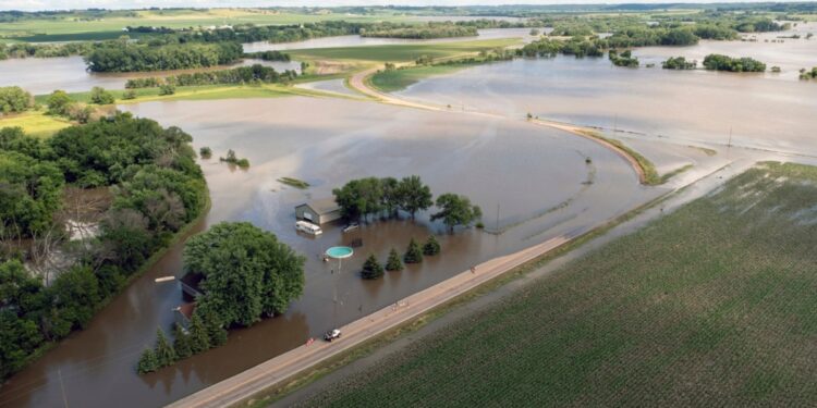 Millones se preparan para más calor en EEUU mientras reportan inundaciones en la región centro norte