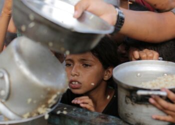 Ejército israelí anuncia «pausa táctica» en combates para facilitar llegada de ayuda en Gaza