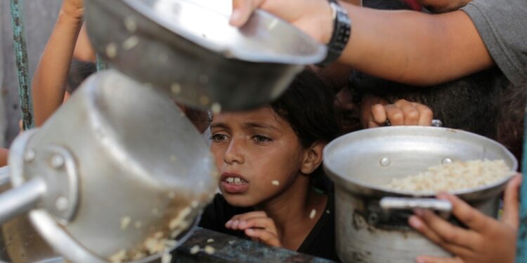 Ejército israelí anuncia «pausa táctica» en combates para facilitar llegada de ayuda en Gaza