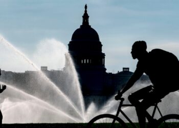 ¿Qué rol juegan los medios y las redes sociales en un EEUU polarizado?