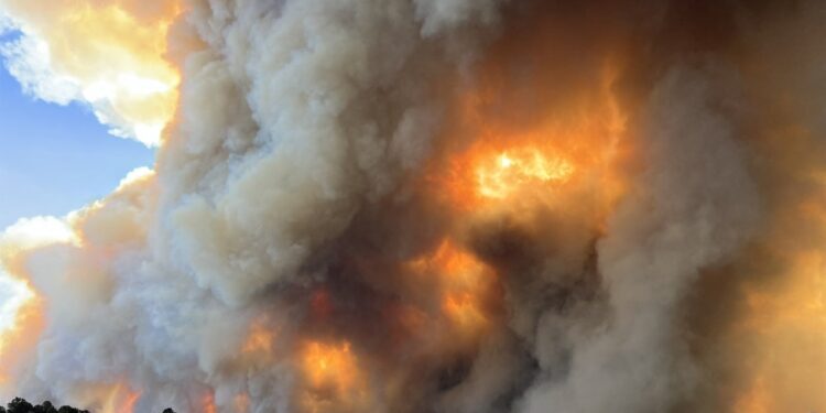 Continúan hostilidades en Gaza, mientras en Washington altos funcionarios de la Casa Blanca se reúnen con asesores del ejecutivo israelí.