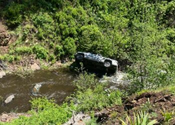 Perro ayuda a que su dueño sea rescatado luego de desbarrancarse en Oregon