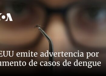 EEUU emite advertencia por aumento de casos de dengue