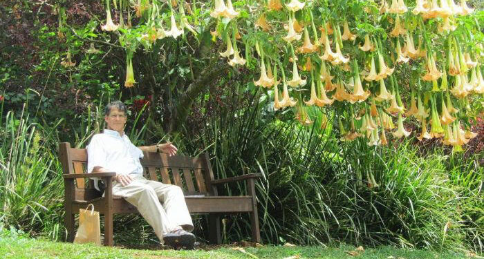 Un neurocirujano de Harvard que volvió de la muerte explicó todo lo que vio: «Hay música paradisíaca» [VIDEO]