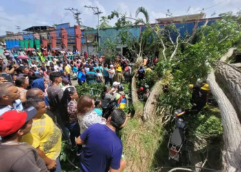 Dos muertos y varios heridos tras la caída de un árbol en Tucupita