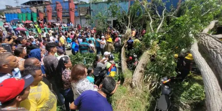 Dos muertos y varios heridos tras la caída de un árbol en Tucupita