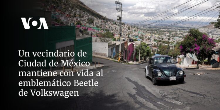 Un vecindario de Ciudad de México mantiene con vida al emblemático Beetle de Volkswagen