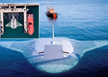 Un dron submarino, imágenes virales y una base en California: el intrigante hallazgo en Google Maps