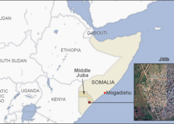 AFRICOM niega que ataque aéreo de Estados Unidos haya matado a médicos cubanos