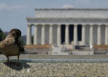 Avance Informativo 7:00 PM