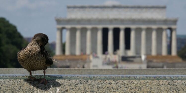 Avance Informativo 7:00 PM