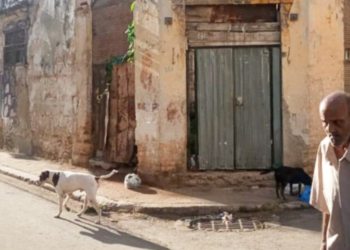 Alertan de un aumento de la mendicidad en Cuba; niños y ancianos los más afectados