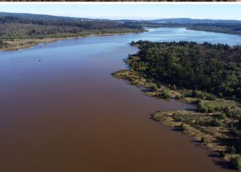 Lluvias en Chile reviven lagunas golpeadas por sequía