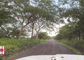 Agricultores reportan pérdidas en cultivos, tras intensas lluvias en El Salvador