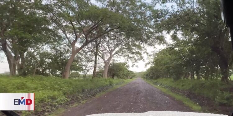 Agricultores reportan pérdidas en cultivos, tras intensas lluvias en El Salvador