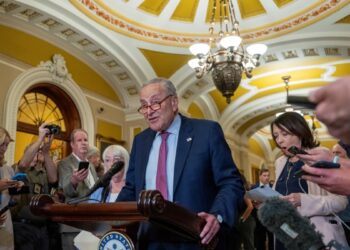 Demócratas se unen para apoyar a Biden, pese a las dudas