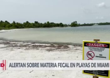 Prohíben playas de Miami ante contaminación por materia fecal