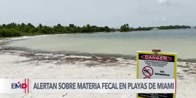 Prohíben playas de Miami ante contaminación por materia fecal