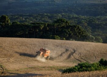 Sudamérica tendrá temperaturas elevadas en región amazónica: CIIFEN